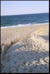 Provincetown dunes, Cape Cod , Mar 2000