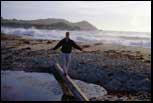 Me. coast Point Lobos, CA, Aug 2000