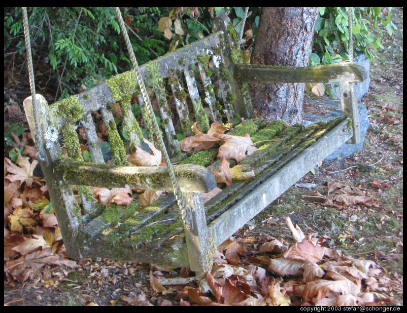 Fall, bench, Gig Harbor, WA