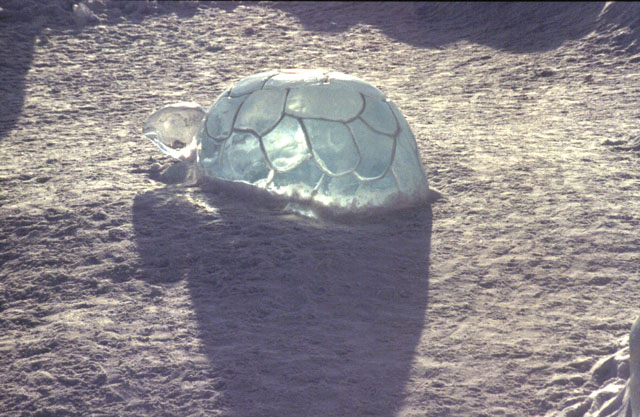 Jukkasjärvi, Sweden, Mar 1999