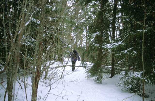 Ulf near the Mälaren lake, Sweden, Mar 1999