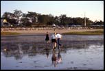 Cape Cod, USA, 1999