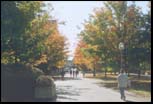 University of Massachusetts Campus, Amherst, MA