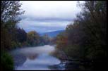 Fog in southern Vermont, 1999