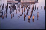 Boston Harbor, MA, Jan 2000