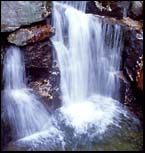 Waterfall, New Hampshire, May 2000