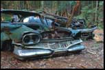 Junk Cars in Forest, Amherst, MA, May 2000