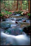 Stream, Amherst, MA, May 2000