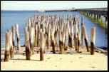 Quay Provincetown, Cape Cod, Mar 2000