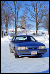 Mustang, Quabbin Reservoir, MA, 2000