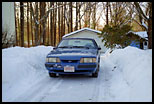 Mustang, Quabbin Reservoir, MA, 2000