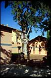 Winery. Napa Valley, CA, Aug 2000