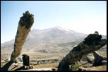 Mount St Helens. WA, August 2000