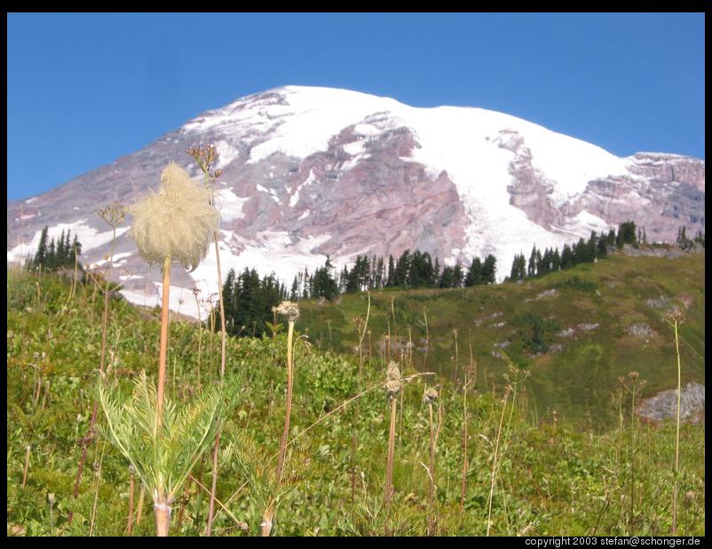 Mt. Rainier