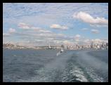 Seagulls and Seattle skyline
