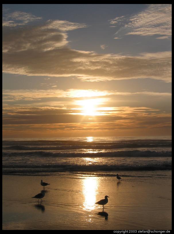 Evening on the beach, Oregon