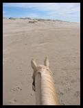 Riding on the beach, Oregon dunes near Florence, OR